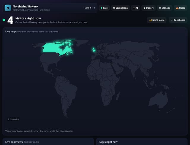 Live visitors and live events: example screenshot with made-up demo data