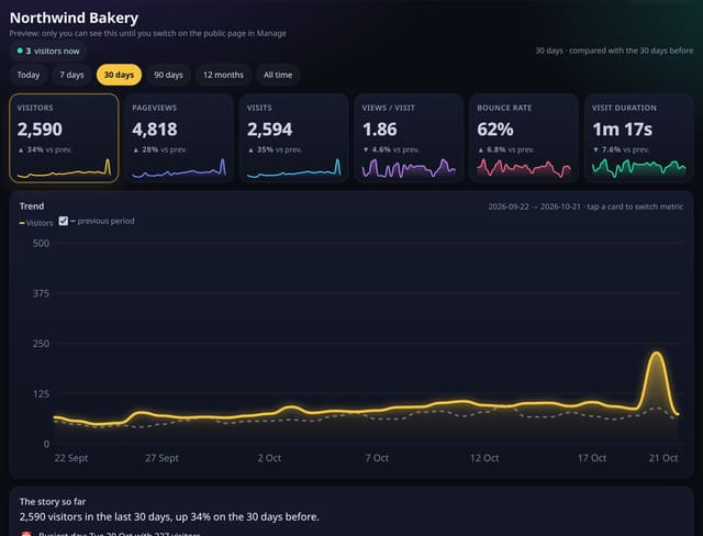 Optional public stats page: example screenshot with made-up demo data