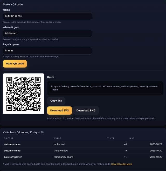 QR codes for posters and print: see what each one brings: example screenshot with made-up demo data